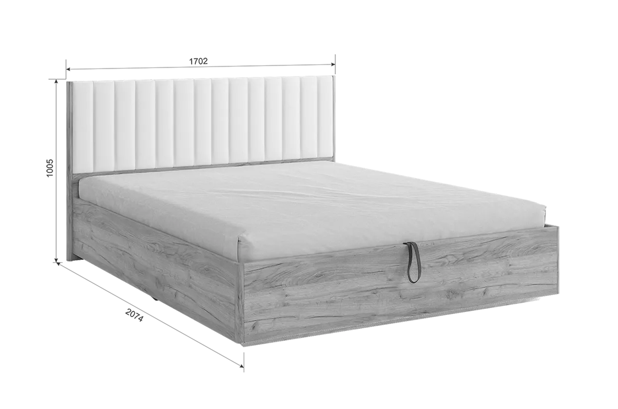 Кровать с подъемным механизмом Адам графит (Мебельсон) в Сысерти - sysert.mebel-e96.ru