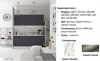 Кухонный гарнитур 2000 мм Агата (Игни) в Сысерти - sysert.mebel-e96.ru