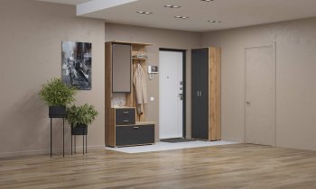 Шкаф для прихожей 65.08 Антре с зеркалом вотан/диамант (Олмеко) в Сысерти - sysert.mebel-e96.ru