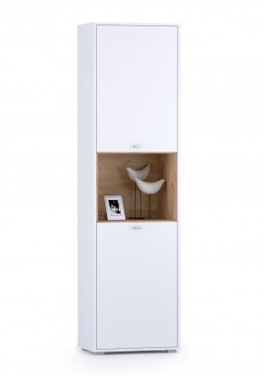 Шкаф комбинированный Бэль 10.04 в Сысерти - sysert.mebel-e96.ru