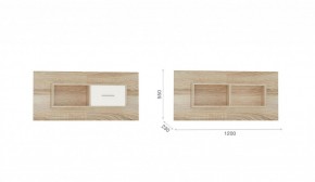 Детская Система Стелс Полка навесная 1д Дуб сонома/Белый в Сысерти - sysert.mebel-e96.ru | фото