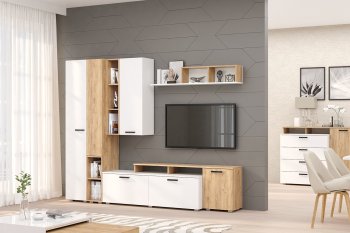 Стенка Эльза комп.2 (Зарон) в Сысерти - sysert.mebel-e96.ru