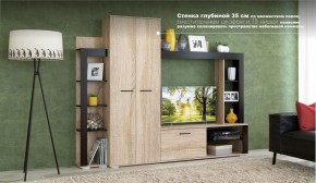 Гостиная Торонто Дуб сонома/Венге (Имп) в Сысерти - sysert.mebel-e96.ru