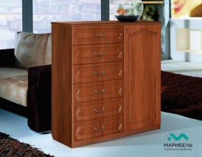 Комод-пенал с дверью в Сысерти - sysert.mebel-e96.ru