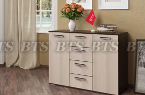 Комод Стандарт №2 NEW (БТС) в Сысерти - sysert.mebel-e96.ru