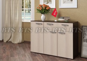 Комод Стандарт 4 NEW (БТС) в Сысерти - sysert.mebel-e96.ru