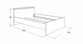 Кровать с ящиками Ольга-13 (1600) в Сысерти - sysert.mebel-e96.ru