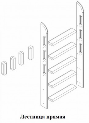 Кровать Сонечка 2-х ярусная (модульная) в Сысерти - sysert.mebel-e96.ru