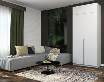 Шкаф распашной 1000 мм М6-2.1 П 100 + антресоль (М6) в Сысерти - sysert.mebel-e96.ru