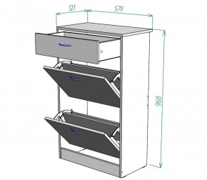 Обувница W21 (Белый) в Сысерти - sysert.mebel-e96.ru