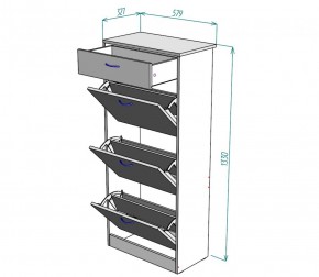 Обувница W23 (ДВ) в Сысерти - sysert.mebel-e96.ru