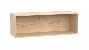 P 3 - 900 мм в Сысерти - sysert.mebel-e96.ru