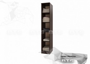Пенал Фиеста 400 мм (БТС) в Сысерти - sysert.mebel-e96.ru