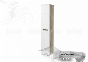 Пенал ПН-14 Наоми 400 мм (БТС) в Сысерти - sysert.mebel-e96.ru