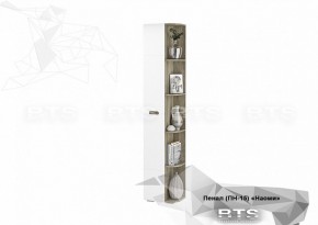 Пенал ПН-15 Наоми 440 мм (БТС) в Сысерти - sysert.mebel-e96.ru