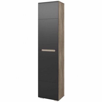 Шкаф ШК-25 Наоми 500 мм (БТС) в Сысерти - sysert.mebel-e96.ru