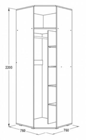 Шкаф 1-но дверный угловой Ольга-14 (760*760) в Сысерти - sysert.mebel-e96.ru