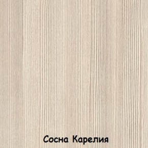 Шкаф 500 мм ДМ-03 Серия 2 (СВ) в Сысерти - sysert.mebel-e96.ru