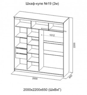 Шкаф-купе №19 Инфинити 2000 мм Ясень анкор светлый (СВ) в Сысерти - sysert.mebel-e96.ru