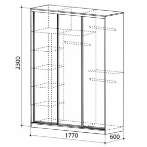 Шкаф-купе Бассо 1-600 (полки слева) в Сысерти - sysert.mebel-e96.ru