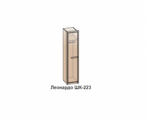 Шкаф ЛЕОНАРДО (ШК-223) Бодега белая в Сысерти - sysert.mebel-e96.ru | фото