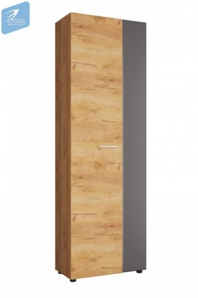 Шкаф с выдвижной штангой ШК-001 Сафари (Стиль) в Сысерти - sysert.mebel-e96.ru | фото