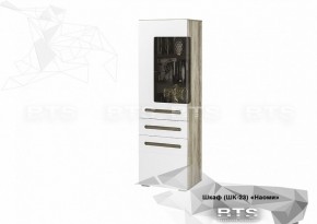 Шкаф ШК-23 Наоми 600 мм (БТС) в Сысерти - sysert.mebel-e96.ru