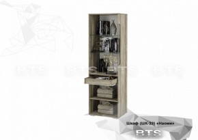 Шкаф ШК-23 Наоми 600 мм (БТС) в Сысерти - sysert.mebel-e96.ru