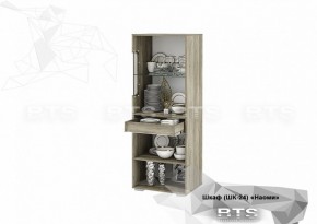 Шкаф ШК-24 Наоми 600 мм (БТС) в Сысерти - sysert.mebel-e96.ru