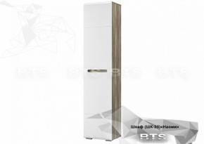 Шкаф ШК-25 Наоми 500 мм (БТС) в Сысерти - sysert.mebel-e96.ru