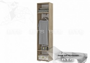 Шкаф ШК-25 Наоми 500 мм (БТС) в Сысерти - sysert.mebel-e96.ru