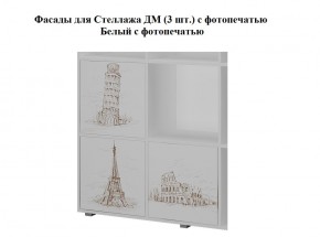 Стеллаж ДМ (ТМК) в Сысерти - sysert.mebel-e96.ru