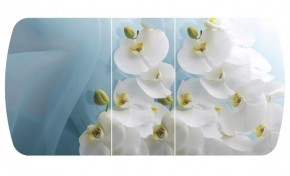 Стол Бостон-3 (Белая Орхидея) 1100/1420*700, опора Брифинг в Сысерти - sysert.mebel-e96.ru