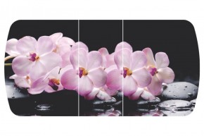 Стол Бостон-3 (Розовая Орхидея) 1100/1420*700, опора Брифинг в Сысерти - sysert.mebel-e96.ru