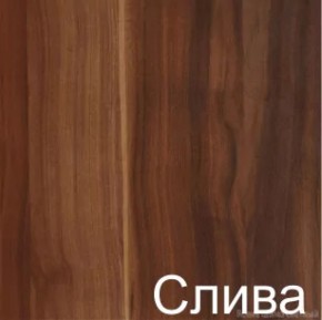 Стол-книжка (1-65) (ГК) в Сысерти - sysert.mebel-e96.ru