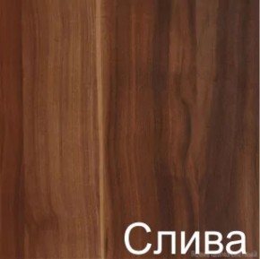 Стол раскладной с ящиком (6-02.120) Слива (ГК) в Сысерти - sysert.mebel-e96.ru