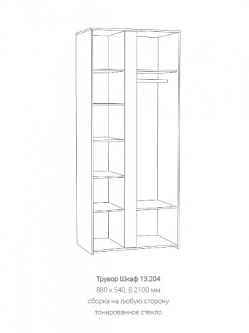 Шкаф Трувор 13.204 в Сысерти - sysert.mebel-e96.ru