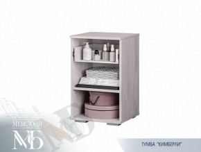 Тумба прикроватная ТБ-02 Кимберли (БТС) в Сысерти - sysert.mebel-e96.ru