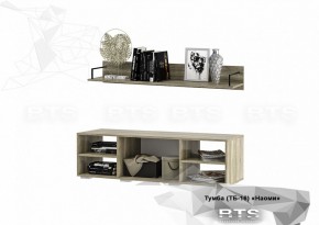 Тумба ТВ ТБ-16 Наоми (БТС) в Сысерти - sysert.mebel-e96.ru